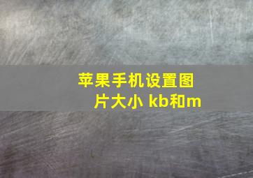 苹果手机设置图片大小 kb和m